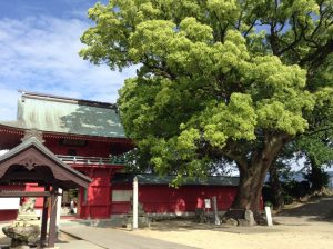 北野天満宮 Kitano Tenmangu Shrine